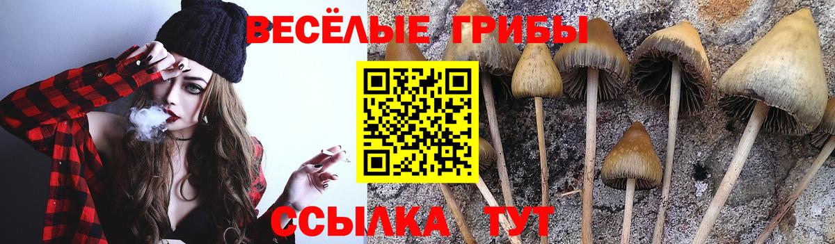 Галлюциногенные грибы Cubensis  Галлюциногенные грибы ЛСД  Вход с VPN  Изобильный 